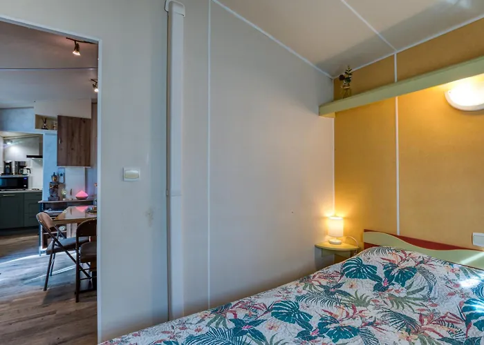 Mobil-home Les Amandiers *